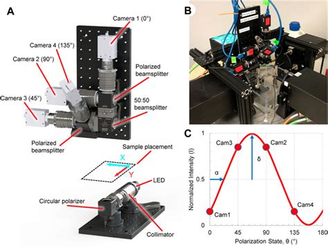 quantification of strains in biaxially tested soft tissues|A versatile biaxial testing platform for soft tissues.